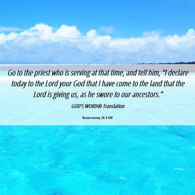 Picture 06 - Deuteronomy 26:3 GW - Go to the priest who is serving at that time, and - Bible Verse Picture