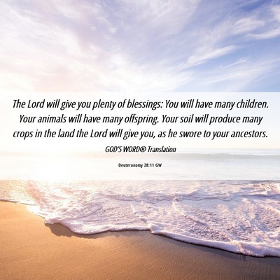 Picture 06 - Deuteronomy 28:11 GW - The Lord will give you plenty of blessings: You - Bible Verse Picture