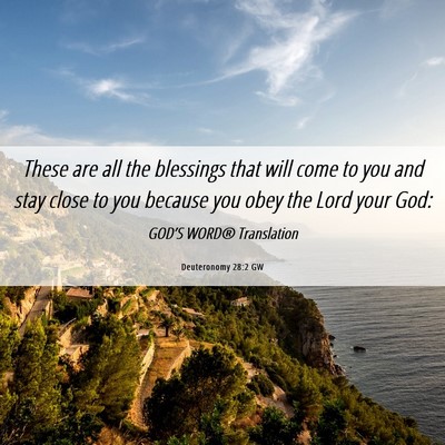 Picture 06 - Deuteronomy 28:2 GW - These are all the blessings that will come to you - Bible Verse Picture
