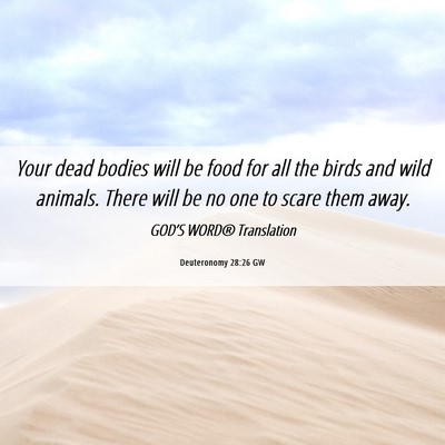Picture 06 - Deuteronomy 28:26 GW - Your dead bodies will be food for all the birds - Bible Verse Picture