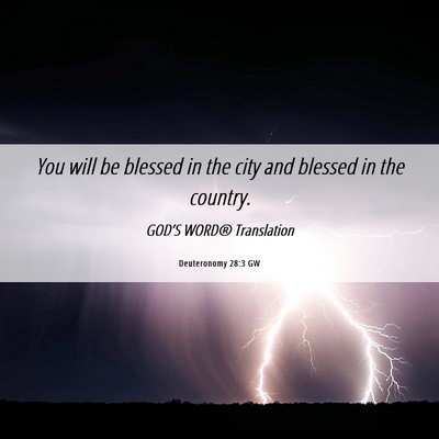 Picture 06 - Deuteronomy 28:3 GW - You will be blessed in the city and blessed in - Bible Verse Picture