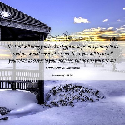 Picture 06 - Deuteronomy 28:68 GW - The Lord will bring you back to Egypt in ships on - Bible Verse Picture