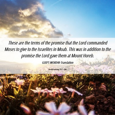 Picture 06 - Deuteronomy 29:1 GW - These are the terms of the promise that the Lord - Bible Verse Picture