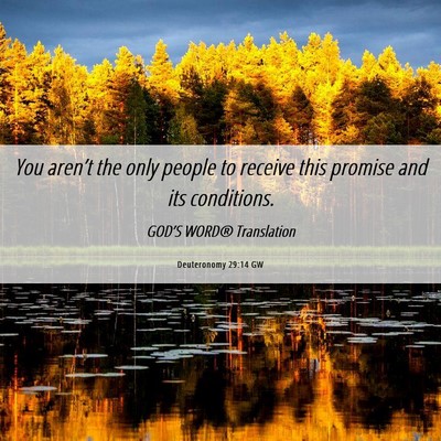 Picture 06 - Deuteronomy 29:14 GW - You aren’t the only people to receive this - Bible Verse Picture