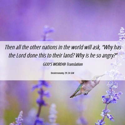 Picture 06 - Deuteronomy 29:24 GW - Then all the other nations in the world will ask, - Bible Verse Picture