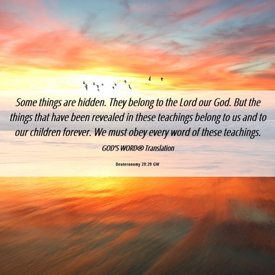 Picture 06 - Deuteronomy 29:29 GW - Some things are hidden. They belong to the Lord - Bible Verse Picture