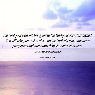Picture 06 - Deuteronomy 30:5 GW - The Lord your God will bring you to the land your - Bible Verse Picture
