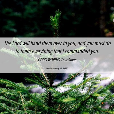 Picture 06 - Deuteronomy 31:5 GW - The Lord will hand them over to you, and you must - Bible Verse Picture