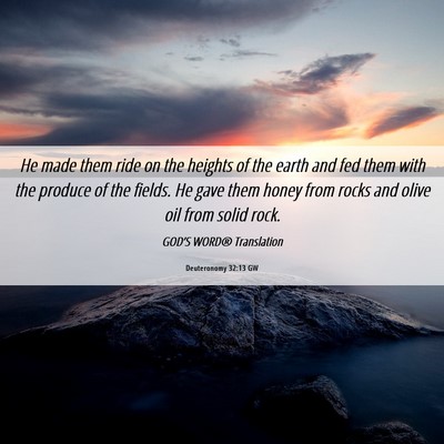 Picture 06 - Deuteronomy 32:13 GW - He made them ride on the heights of the earth and - Bible Verse Picture