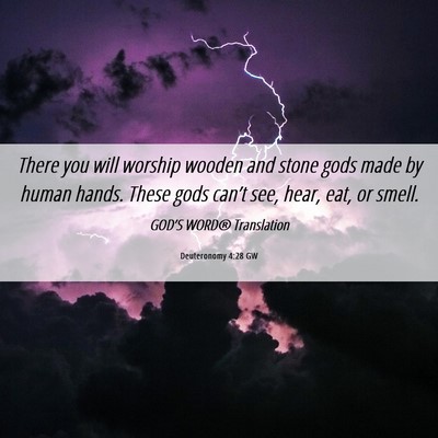 Picture 06 - Deuteronomy 4:28 GW - There you will worship wooden and stone gods made - Bible Verse Picture