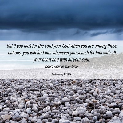Picture 06 - Deuteronomy 4:29 GW - But if you look for the Lord your God when you - Bible Verse Picture