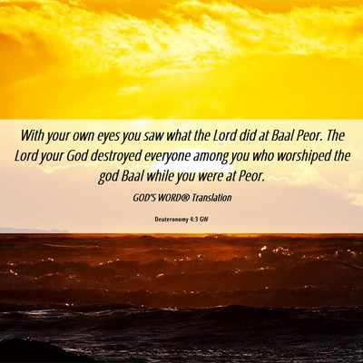 Picture 06 - Deuteronomy 4:3 GW - With your own eyes you saw what the Lord did at - Bible Verse Picture