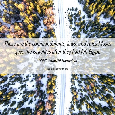Picture 06 - Deuteronomy 4:45 GW - These are the commandments, laws, and rules Moses - Bible Verse Picture