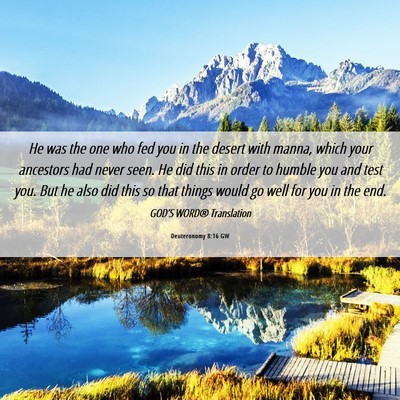 Picture 06 - Deuteronomy 8:16 GW - He was the one who fed you in the desert with - Bible Verse Picture
