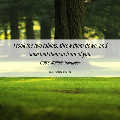 Picture 06 - Deuteronomy 9:17 GW - I took the two tablets, threw them down, and - Bible Verse Picture