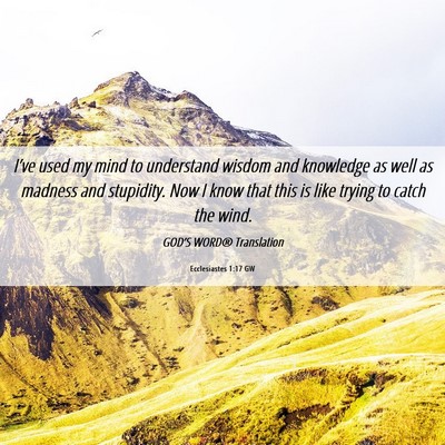 Picture 06 - Ecclesiastes 1:17 GW - I’ve used my mind to understand wisdom and - Bible Verse Picture