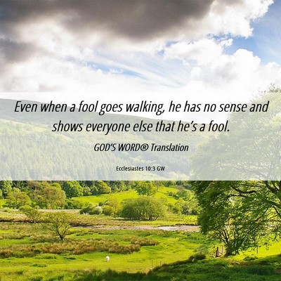 Picture 06 - Ecclesiastes 10:3 GW - Even when a fool goes walking, he has no sense - Bible Verse Picture