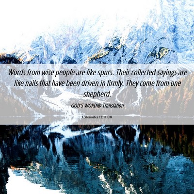Picture 06 - Ecclesiastes 12:11 GW - Words from wise people are like spurs. Their - Bible Verse Picture