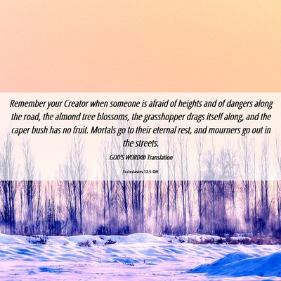 Picture 06 - Ecclesiastes 12:5 GW - Remember your Creator when someone is afraid of - Bible Verse Picture