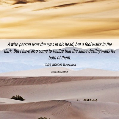 Picture 06 - Ecclesiastes 2:14 GW - A wise person uses the eyes in his head, but a - Bible Verse Picture