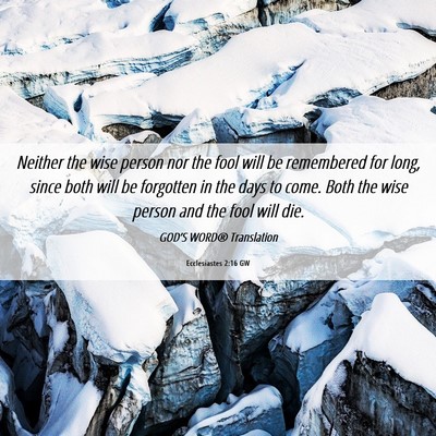 Picture 06 - Ecclesiastes 2:16 GW - Neither the wise person nor the fool will be - Bible Verse Picture