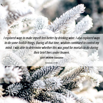 Picture 06 - Ecclesiastes 2:3 GW - I explored ways to make myself feel better by - Bible Verse Picture
