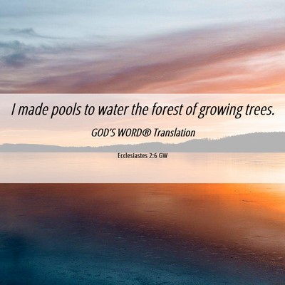 Picture 06 - Ecclesiastes 2:6 GW - I made pools to water the forest of growing - Bible Verse Picture