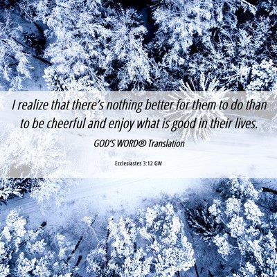 Picture 06 - Ecclesiastes 3:12 GW - I realize that there’s nothing better for them - Bible Verse Picture