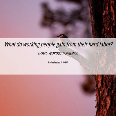 Picture 06 - Ecclesiastes 3:9 GW - What do working people gain from their hard - Bible Verse Picture