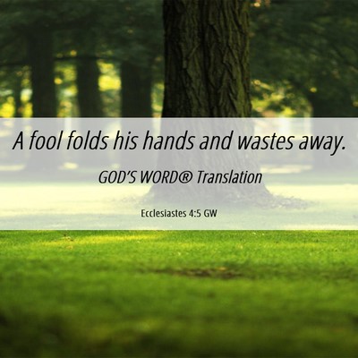 Picture 06 - Ecclesiastes 4:5 GW - A fool folds his hands and wastes - Bible Verse Picture