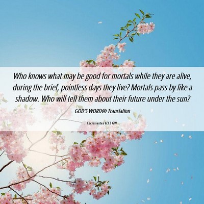 Picture 06 - Ecclesiastes 6:12 GW - Who knows what may be good for mortals while they - Bible Verse Picture