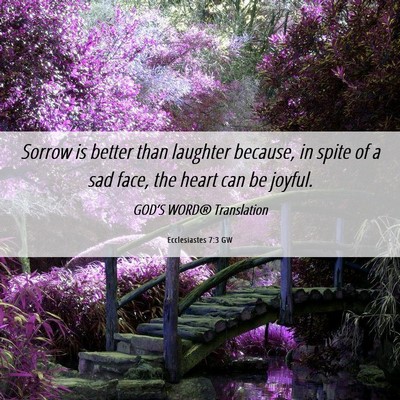 Picture 06 - Ecclesiastes 7:3 GW - Sorrow is better than laughter because, in spite - Bible Verse Picture