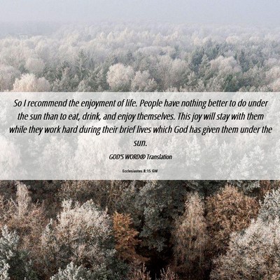 Picture 06 - Ecclesiastes 8:15 GW - So I recommend the enjoyment of life. People have - Bible Verse Picture