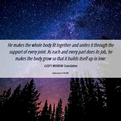 Picture 06 - Ephesians 4:16 GW - He makes the whole body fit together and unites - Bible Verse Picture