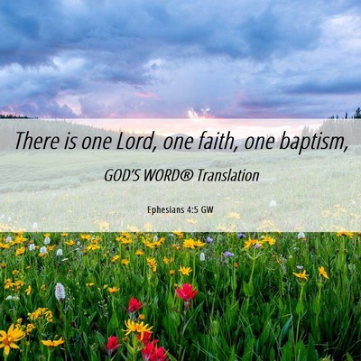 Picture 06 - Ephesians 4:5 GW - There is one Lord, one faith, one - Bible Verse Picture