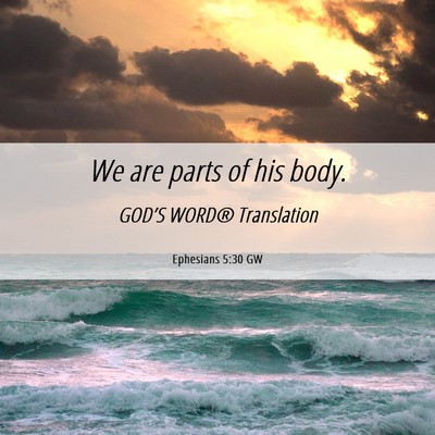 Picture 06 - Ephesians 5:30 GW - We are parts of his - Bible Verse Picture