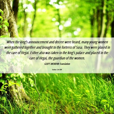 Picture 06 - Esther 2:8 GW - When the king’s announcement and decree were - Bible Verse Picture