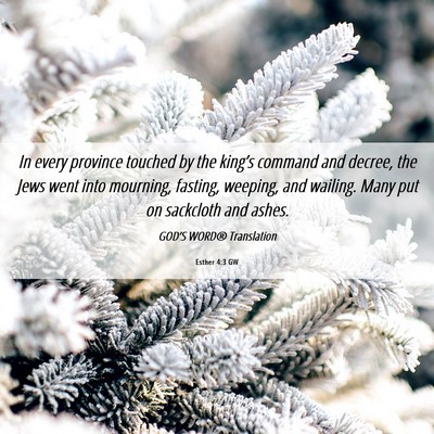 Picture 06 - Esther 4:3 GW - In every province touched by the king’s command - Bible Verse Picture