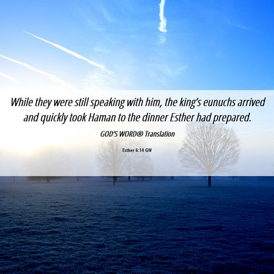 Picture 06 - Esther 6:14 GW - While they were still speaking with him, the - Bible Verse Picture