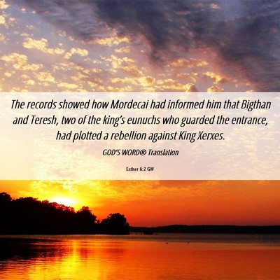 Picture 06 - Esther 6:2 GW - The records showed how Mordecai had informed him - Bible Verse Picture