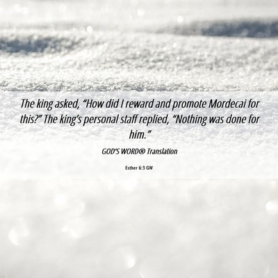 Picture 06 - Esther 6:3 GW - The king asked, “How did I reward and promote - Bible Verse Picture