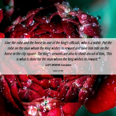 Picture 06 - Esther 6:9 GW - Give the robe and the horse to one of the - Bible Verse Picture