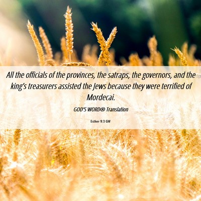 Picture 06 - Esther 9:3 GW - All the officials of the provinces, the satraps, - Bible Verse Picture