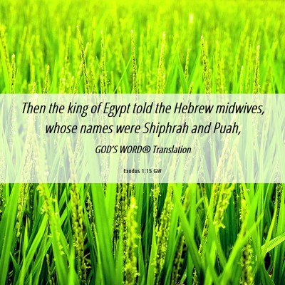 Picture 06 - Exodus 1:15 GW - Then the king of Egypt told the Hebrew midwives, - Bible Verse Picture
