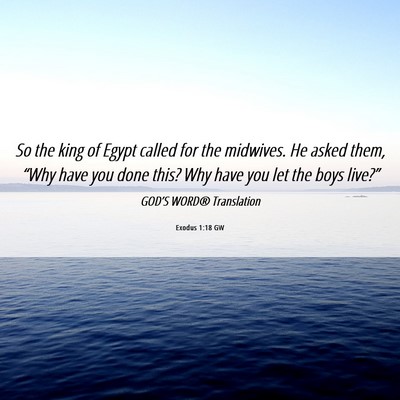 Picture 06 - Exodus 1:18 GW - So the king of Egypt called for the midwives. He - Bible Verse Picture