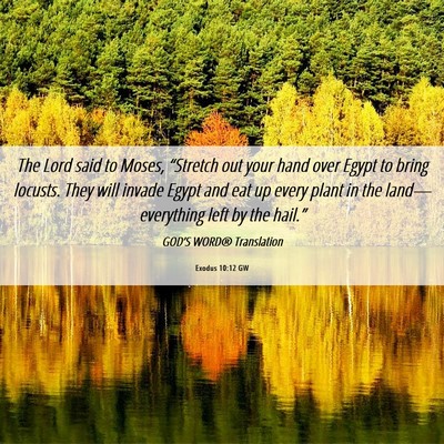 Picture 06 - Exodus 10:12 GW - The Lord said to Moses, “Stretch out your hand - Bible Verse Picture