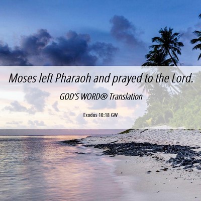 Picture 06 - Exodus 10:18 GW - Moses left Pharaoh and prayed to the - Bible Verse Picture