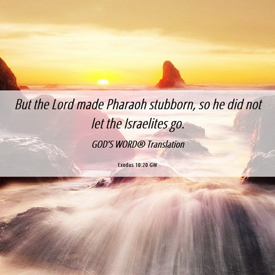Picture 06 - Exodus 10:20 GW - But the Lord made Pharaoh stubborn, so he did not - Bible Verse Picture