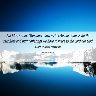 Picture 06 - Exodus 10:25 GW - But Moses said, “You must allow us to take our - Bible Verse Picture