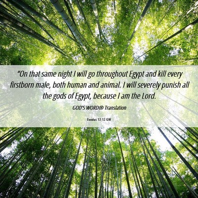 Picture 06 - Exodus 12:12 GW - “On that same night I will go throughout Egypt - Bible Verse Picture